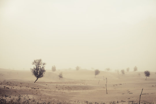 Windy before sandstorm in the Katpana Desert. Skardu, Gilgit Baltistan, Pakistan.