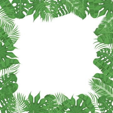 Hand drawn tropical leaves weddiing frame. Aralia, monstera, banana, coconut palm leaf border for invitation card. Vector isolated illustration.