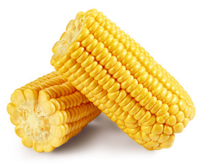 Corn on the cob kernels