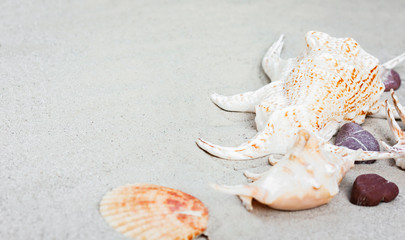 Summer background with copy space for text - seashells on the sand, beach in Thailand 