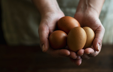 Brown organic free range eggs