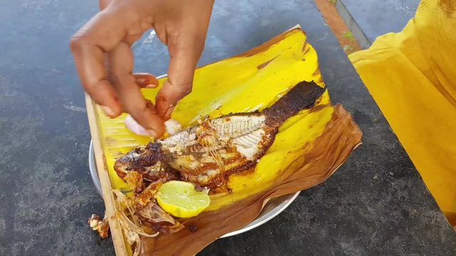 Time lapse of a fish being eaten
