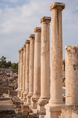 Archaeological Excavations of ancient street and columns in archaeological site Scythopolis, Beit Shean National Park, Jordan Valley, Israel. Ruins of the roman period