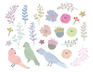 Hand drawn floral elements and cute birds. Colored vector set. All elements are isolated
