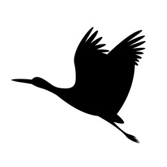 stork bird flying, vector illustration ,  