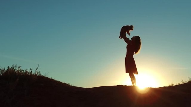 girl lifts a small dog at sunset silhouette. woman playing with a dog on nature. silute sunlight. friendship man and pet concept lifestyle