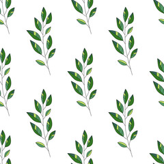 Vector floral seamless pattern. botanical backdrop
