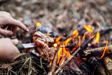 meat on the stick grilled in the fire. bushcraft concept