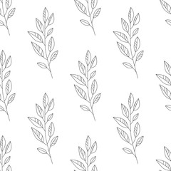 Vector flower black-white pattern. Seamless botanic texture, detailed flowers illustrations. Floral pattern in doodle style, spring floral background.