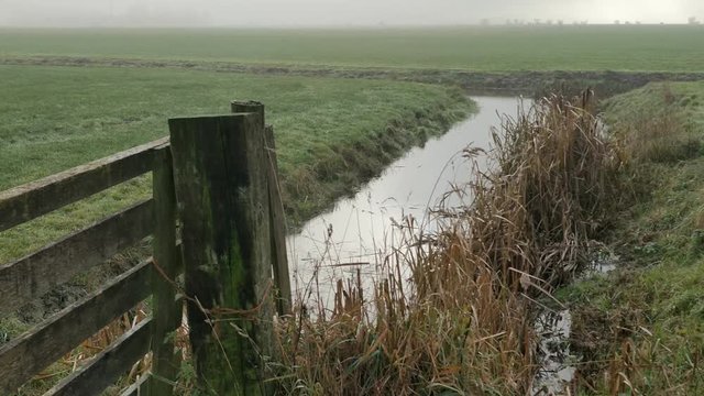 Steady shot of a ditch in The Netherlands during foggy damp weather in Autumn