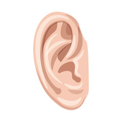 Isolated object of human and part symbol. Set of human and woman stock vector illustration.