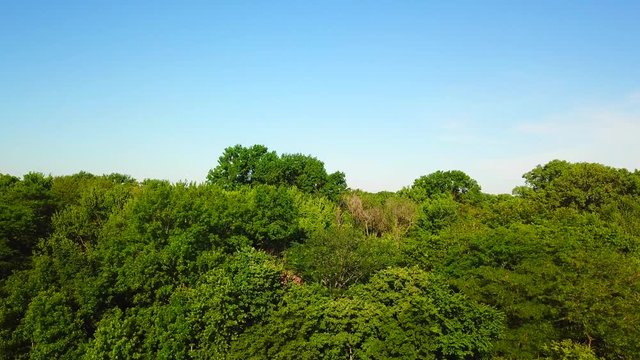 Rising view of ST. Louis from the trees