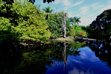 Lake at a park in Florida.