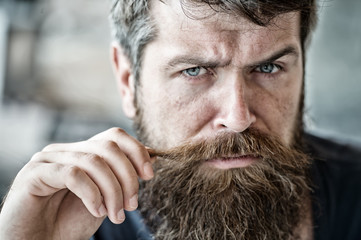 Grooming and barber shop concept. Masculinity and brutality. Male beauty. Macho brutal bearded...