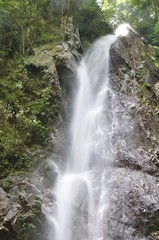 西丹沢 本棚の滝