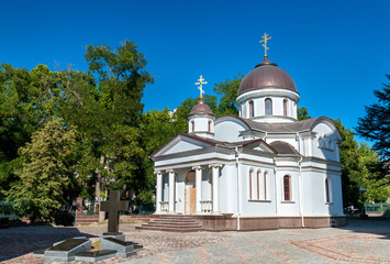 Fototapeta na wymiar Alexander Nevsky Cathedral in Simferopol