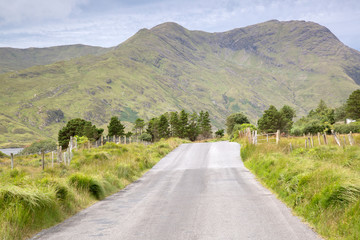 Open Road; Connemara