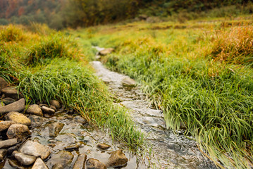 Mountain river water landscape. Wild river in the mountains. River view overlooking the wild river. Autumn in the mountains