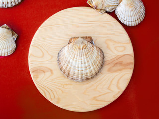 Scallop cockleshell on a round wooden board