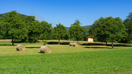 Stura di Demonte valley at summer