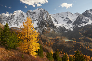 Altai mountains, Russia, Siberia.