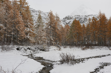 Altai mountains