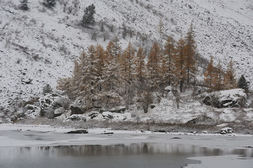 Altai mountains