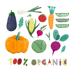 Hundred percent organic vegetables. Hand drawn vector set. All elements are isolated