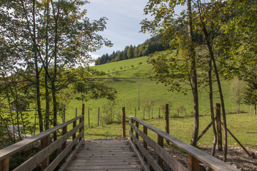 Fototapeta premium mountain landscape next to Werfenweng