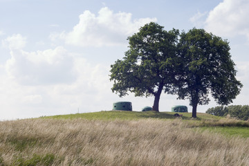 bunkier wiosną © qrrr