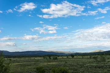 Fototapeta na wymiar Blick auf die Berge des Dovrefjell