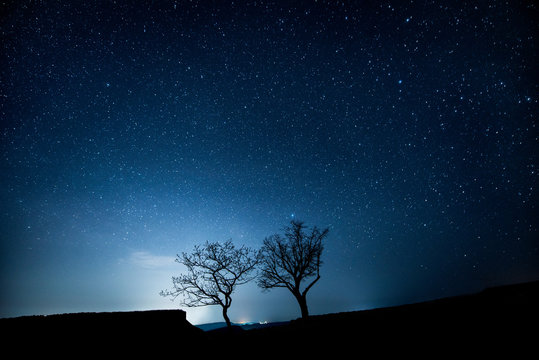 Two trees in the mountains under a starry sky