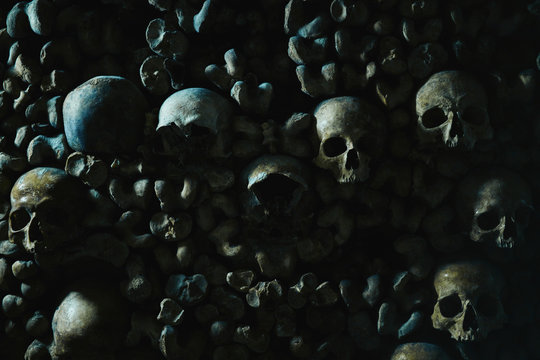 Human skulls in catacomb