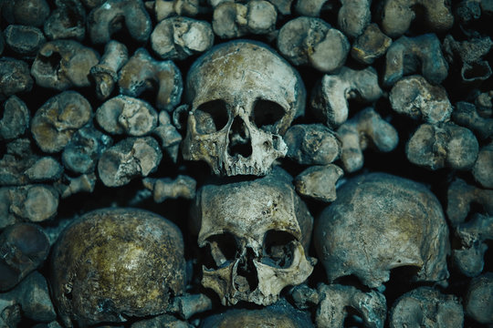 Human skulls in catacomb in Paris, France