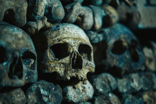 Human skulls in catacomb in Paris, France