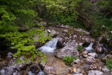 Little stream in Slovenia