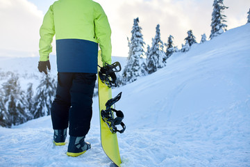 Back view of snowboarder climbing with his board on the mount for backcountry freeride session in...