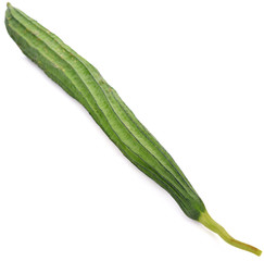 fresh loofah on the white background