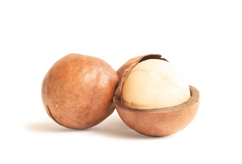 Close up macadamia nuts isolated on white background.