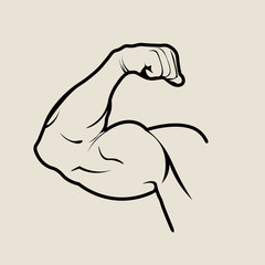 Muscle. Vector illustration.