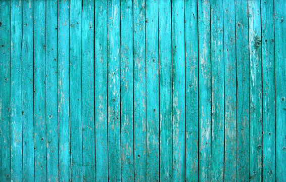 Turquoise barn wooden board wall. Old blue planking texture. Painted grunge hardwood background surface