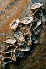 flat lay with arranged ice cubes and oysters on grungy tabletop