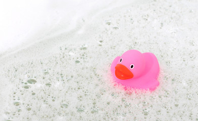 Pink duck in a bathtub