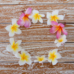 Circle of frangipani flowers on wooden background.