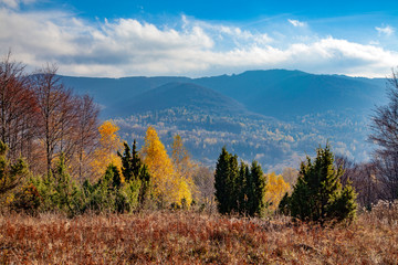 Obraz premium Landscape of autumnal peaks of the Carpathians.