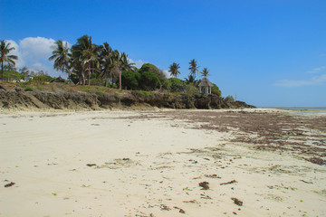 Low tide on Diani Beach, the coast of the Indian Ocean. Kenya, Africa