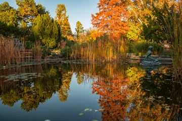 Fotobehang Budapest Margaret Island Japanese garden autumn colors © pellephoto