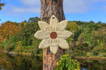 Wooden sign with inscription "Please do not pick up the flowers, enjoy them" on Petawawa River shoreline, Ontario, Canada