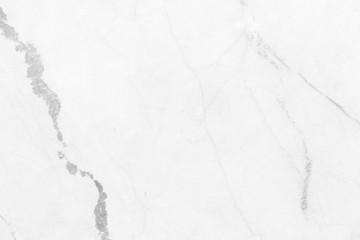 Abstract white marble background with natural motifs. for work and design.