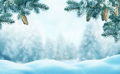Christmas background with fir tree branch.Winter landscape